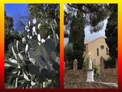 183 D25 BORMES LES MIMOSAS 3_000028
